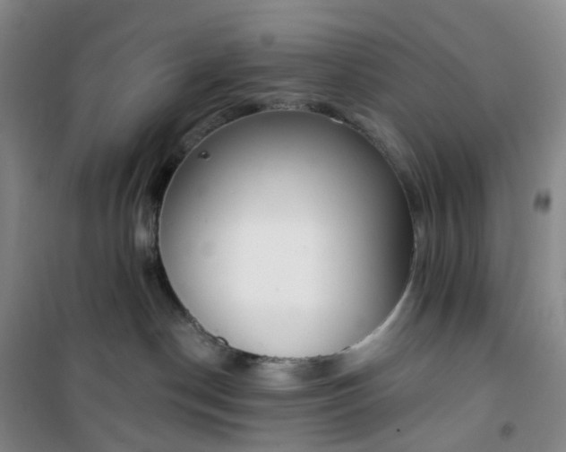 X0000101180190200807111124