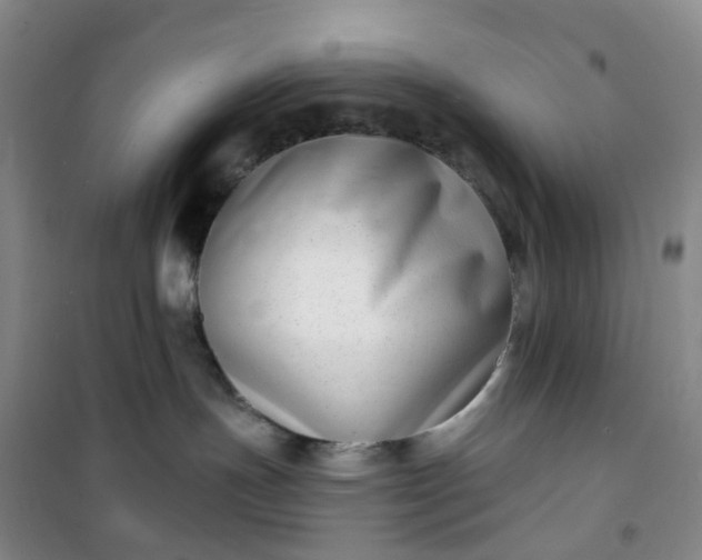 X0000101180191200807111124