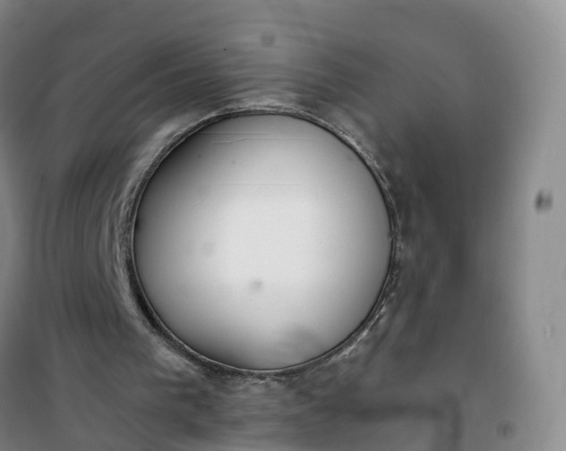 X0000101180193200807111123