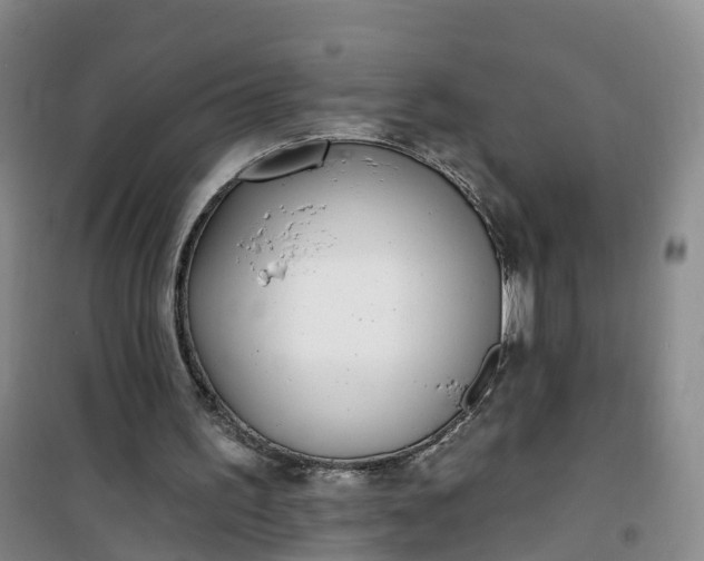 X0000101180195200807111123