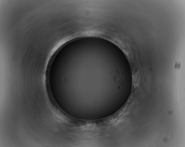 X0000101180196200807111123