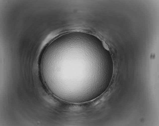 X0000101180198200807111123