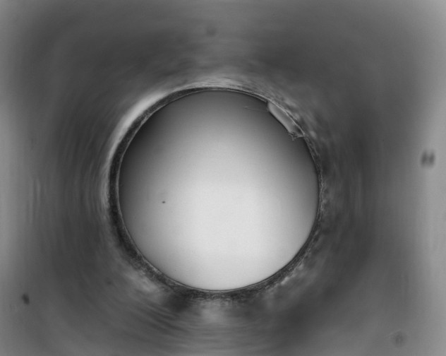 X0000101180200200807111123