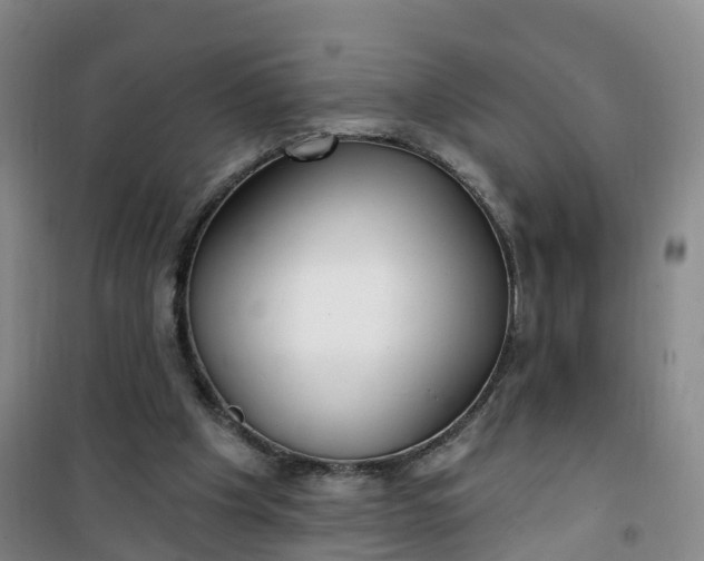 X0000101180201200807111123