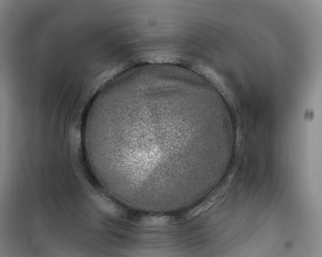 X0000101180202200807111123