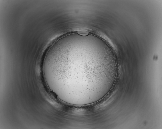 X0000101180203200807111123