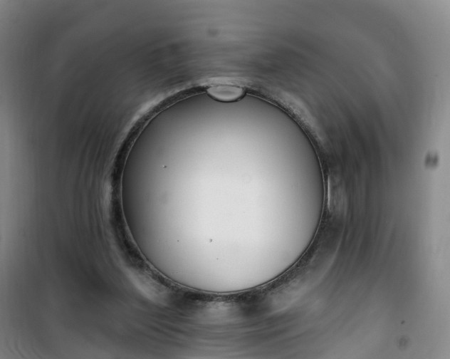 X0000101180204200807111123