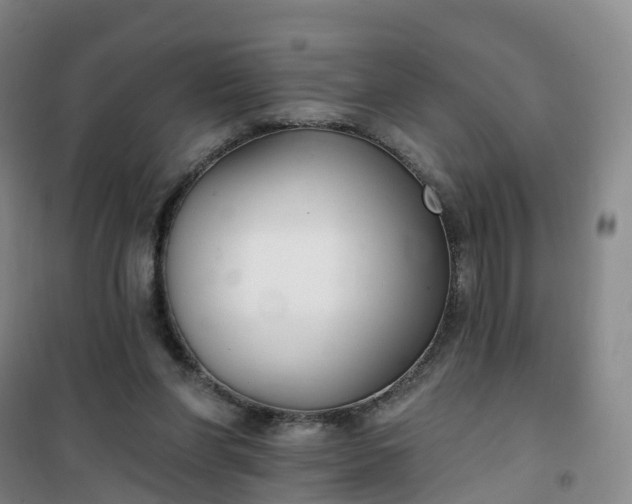 X0000101180206200807111123