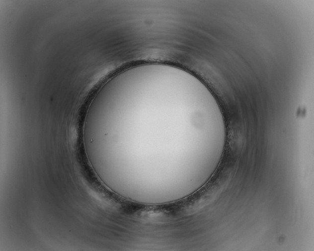 X0000101180208200807111123