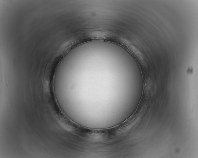 X0000101180209200807111123