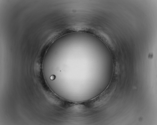 X0000101180210200807111123