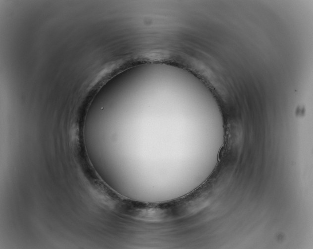 X0000101180212200807111123