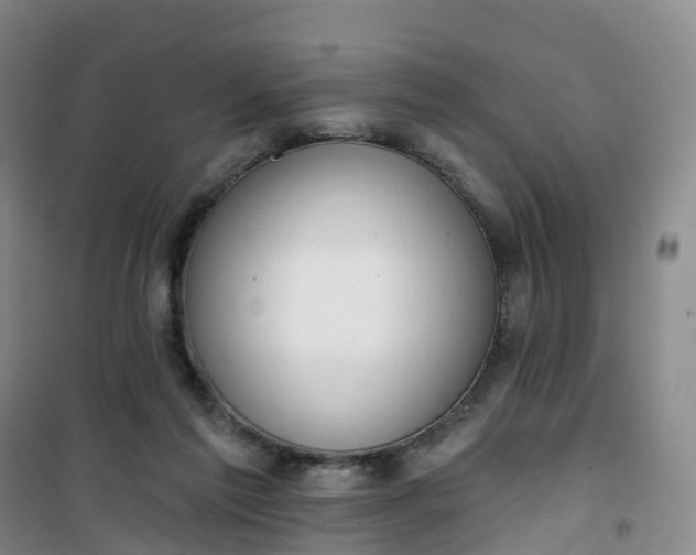 X0000101180213200807111123