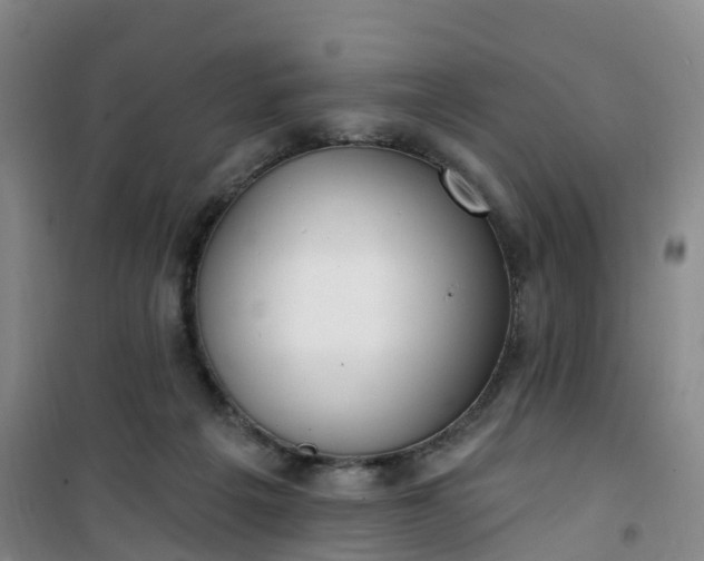 X0000101180217200807111123