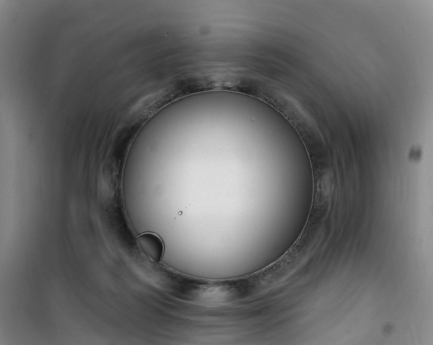 X0000101180218200807111123