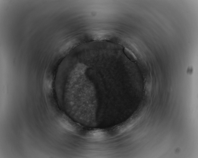 X0000101180219200807111123