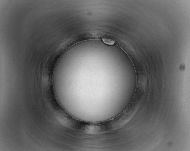 X0000101180220200807111123