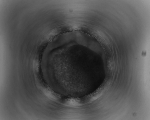 X0000101180223200807111123