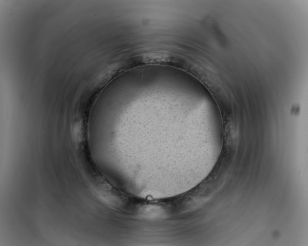 X0000101180224200807111123