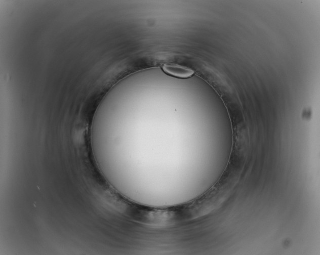 X0000101180225200807111123