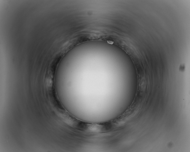 X0000101180226200807111123