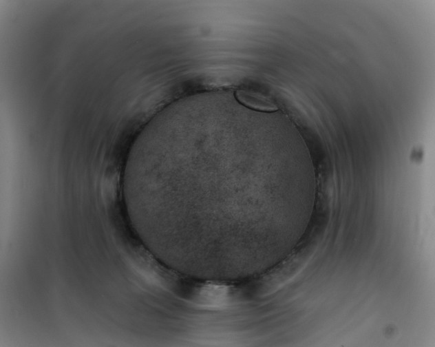 X0000101180227200807111123