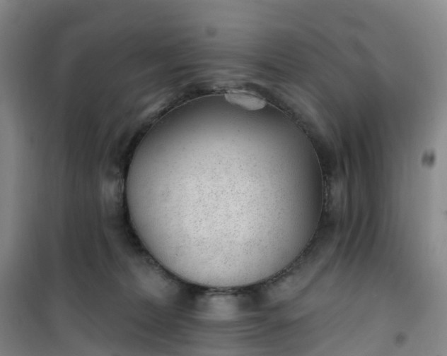 X0000101180228200807111123