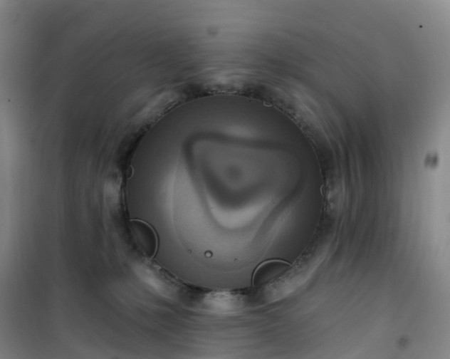 X0000101180231200807111123