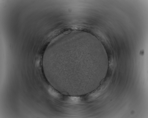 X0000101180233200807111123