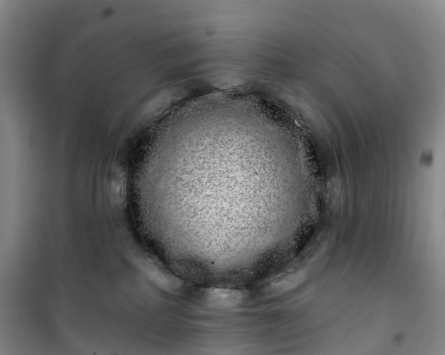 X0000101180234200807111123