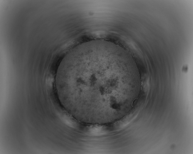 X0000101180235200807111123