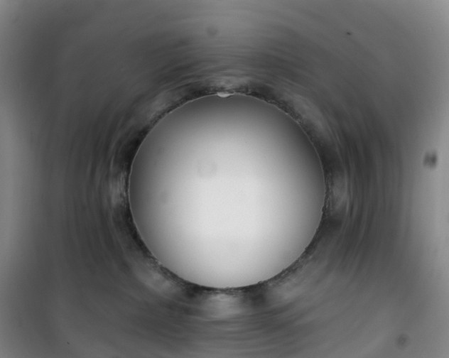 X0000101180236200807111123