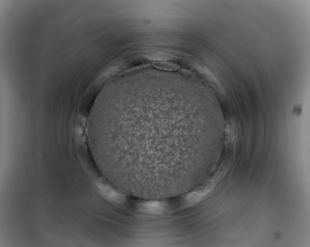 X0000101180237200807111123