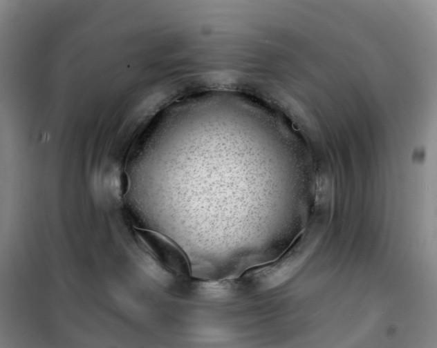 X0000101180238200807111123