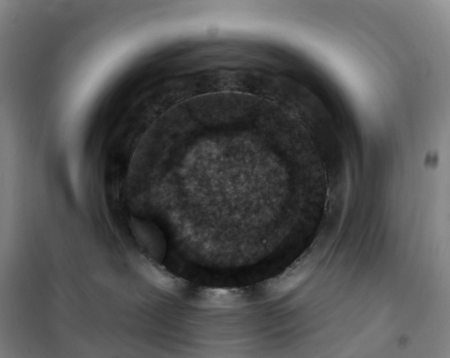 X0000101180239200807111123