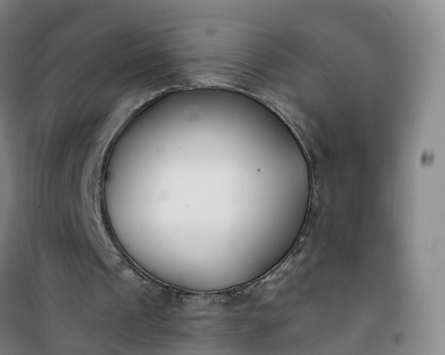 X0000101180241200807111122