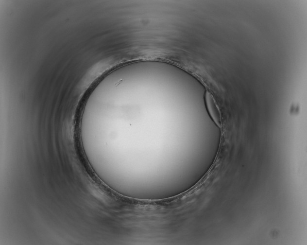 X0000101180242200807111122