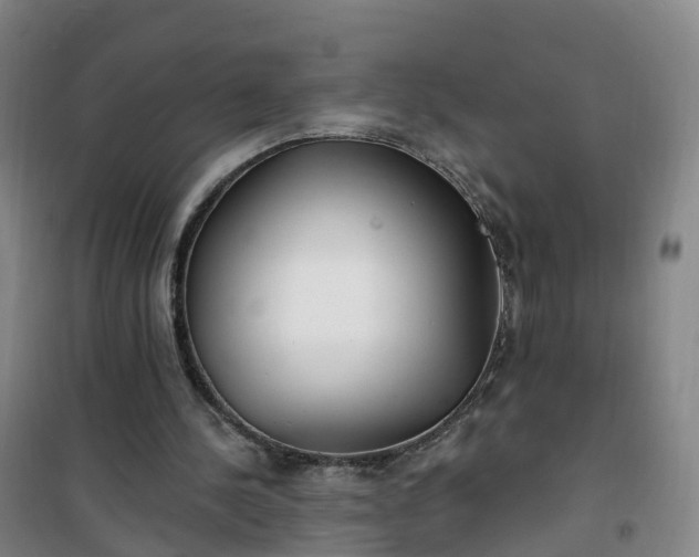 X0000101180244200807111122