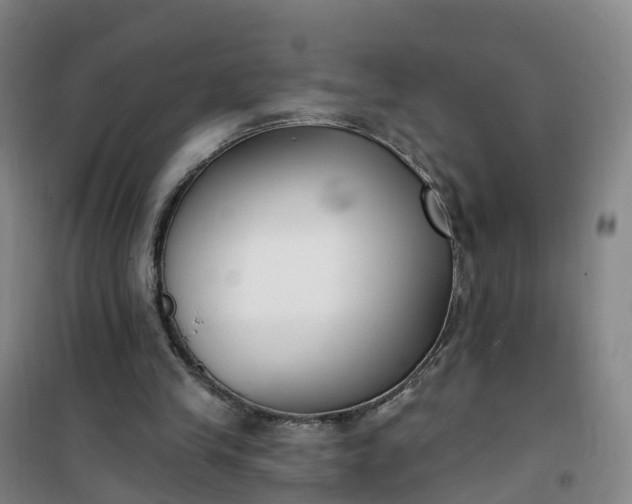 X0000101180245200807111122