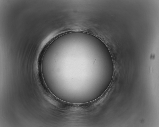 X0000101180246200807111122