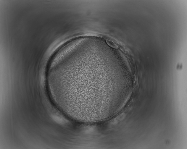 X0000101180247200807111122