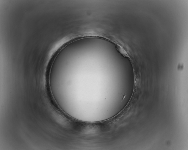 X0000101180248200807111122