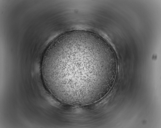 X0000101180249200807111122