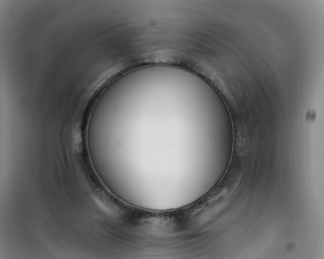 X0000101180251200807111122