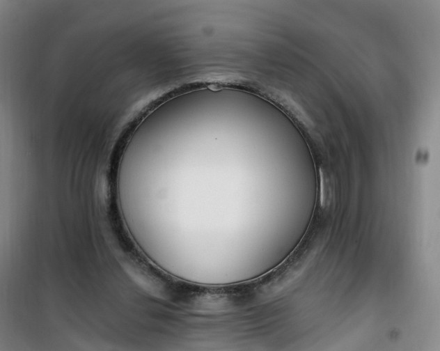 X0000101180252200807111122