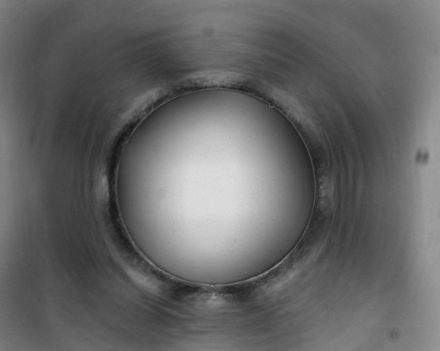 X0000101180254200807111122