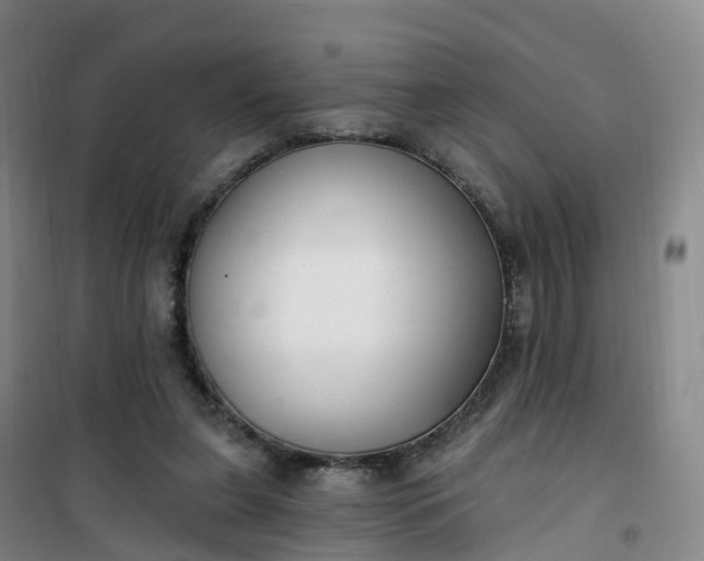 X0000101180255200807111122