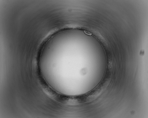 X0000101180256200807111122