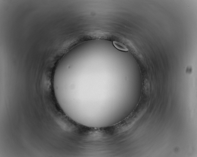 X0000101180259200807111122