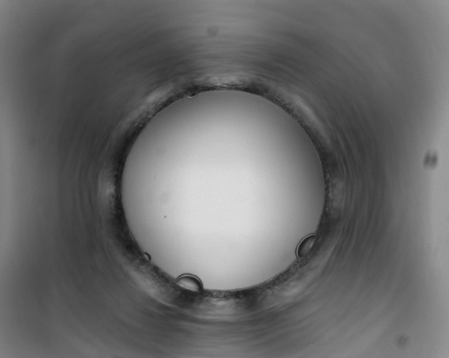 X0000101180260200807111122